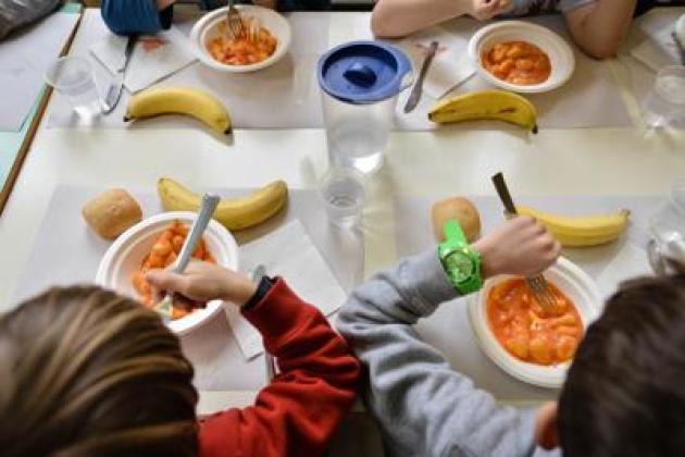 Giornata mondiale Alimentazione, pediatra '20 buone abitudini per bimbi a tavola'