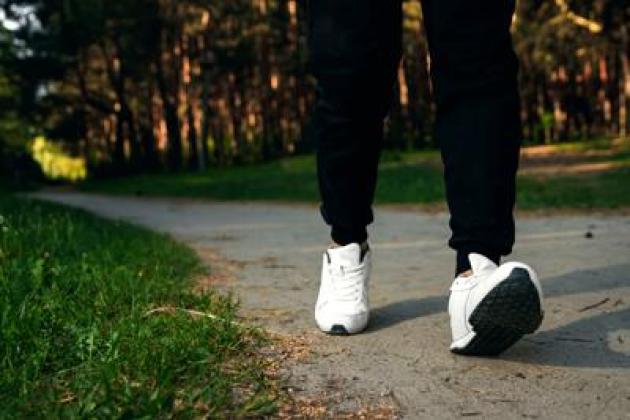Il numero dei passi non conta: ecco cosa davvero fa la differenza per la tua salute