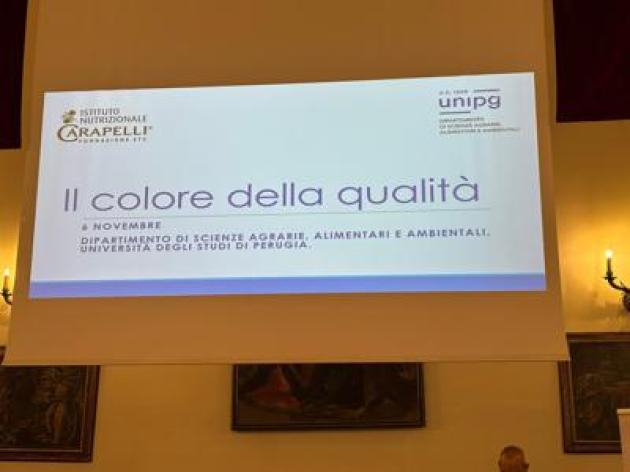 Olio, Inc: "Nuove evidenze scientifiche per preservare qualità evo in bottiglia"