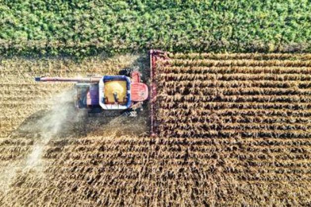 Osservatorio Agrofarma: "Italia modello di eccellenza per uso agrofarmaci"