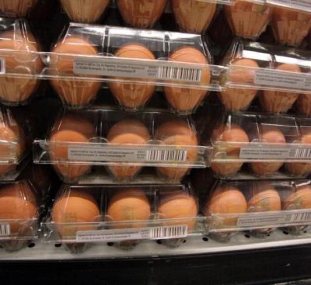 Quanti errori in cucina, dal frigo all'igiene: il decalogo dell'Iss per pasti sicuri