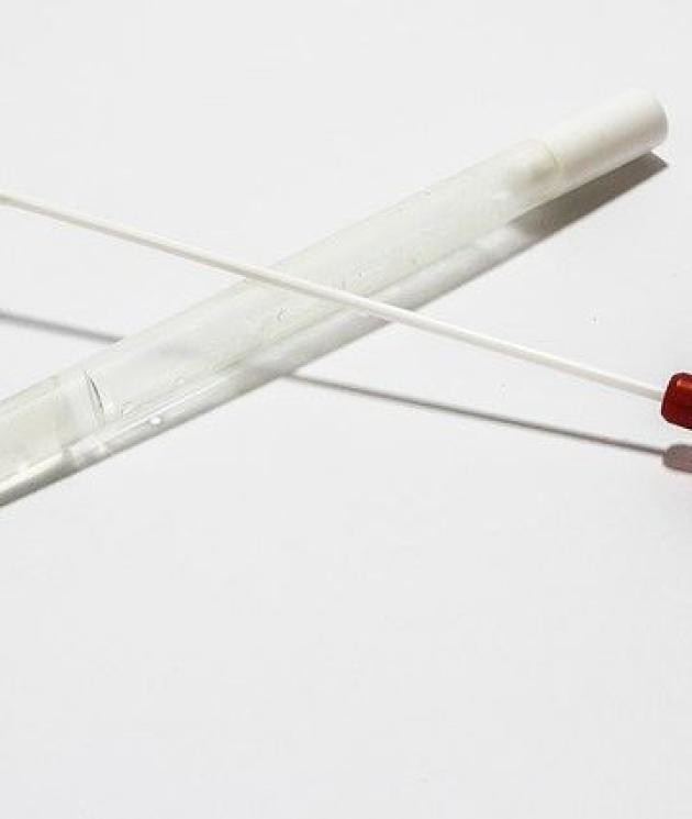 Covid, "gli uomini muoiono di più perché il Coronavirus si rifugia nei testicoli" - LO STUDIO USA
