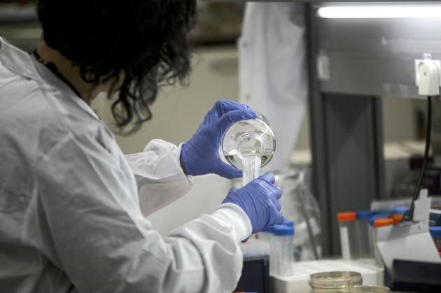 Ricerca scientifica: "Glutine provoca infiammazione del cervello". Lo studio però è stato condotto solo sui topi
