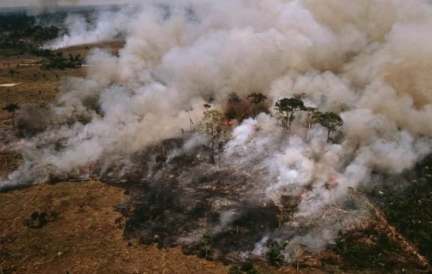 Terra dei Fuochi, report della Procura: "I rifiuti incontrollati causano tumori"