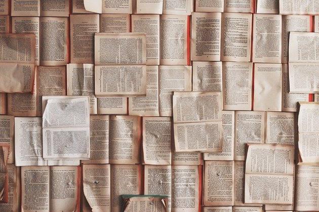 Firenze, trova nel cassonetto prima edizione de "Il Giorno della Civetta" autografata