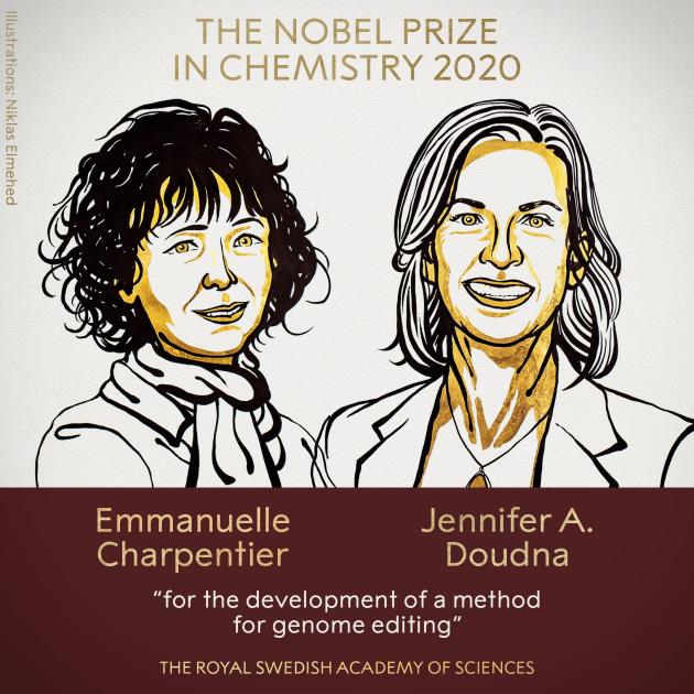Nobel Chimica 2020: vincitrici le due donne del taglia-incolla il Dna