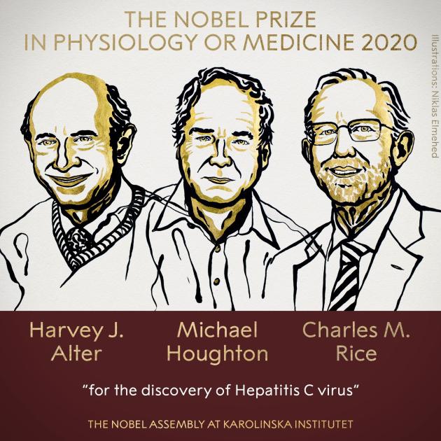 Premio Nobel Medicina 2020 agli scopritori del virus dell’epatite C. ECCO I VINCITORI