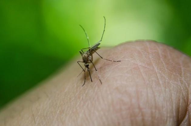 Virus Dengue, allerta anche in Italia dopo esplosione di casi in Brasile e Argentina: arriva il vaccino, ma...