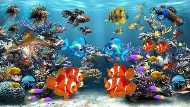 Natale 2020 cartoni Disney, quando e cosa vedere in tv: PROGRAMMAZIONE FILM DURANTE LE FESTE