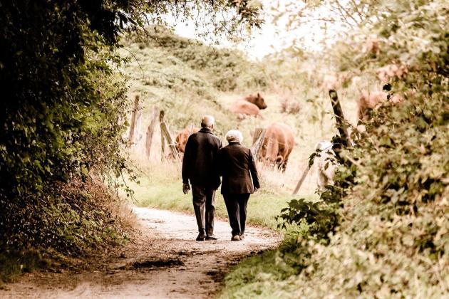 Oms, longevità in crescita: dal 2020 al 2019 guadagnati 6 anni vita