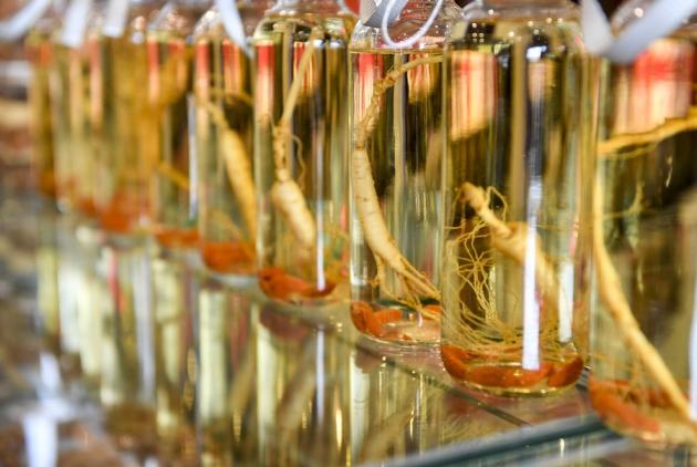 Cina: aggiunge sistema coltivazione ginseng a elenco patrimoni agricoli