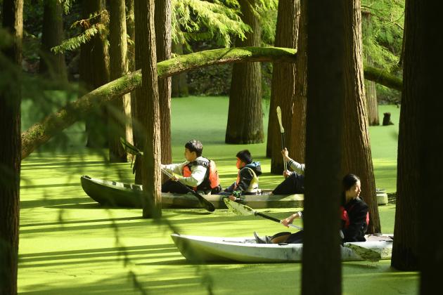 Cina: Zhejiang, punto panoramico del lago Qingshan (1)