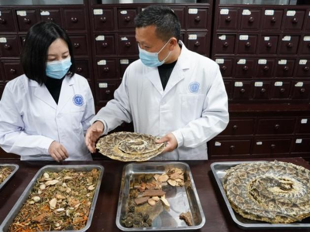Cina: istituto per i morsi di serpente di Qimen