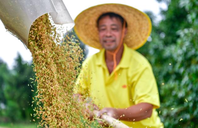 Cina: registra produzione cerealicola record in 2023 (2)