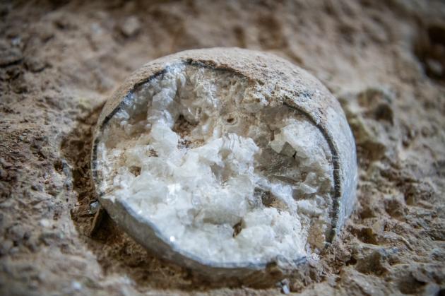 Cina: Hubei, scoperti fossili cristallizzati ben conservati di uova dinosauro