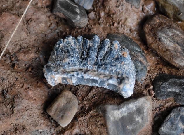 Cina: Sichuan, sito di Mengxihe è importante scoperta archeologica