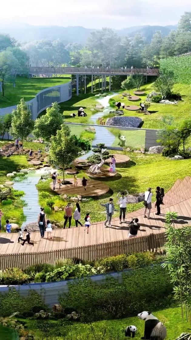 Cina: base di Pechino ospiterà 50 panda giganti nel 2025
Base del Centro di ricerca e conservazione dei panda giganti entrerà in funzione nel 2025
