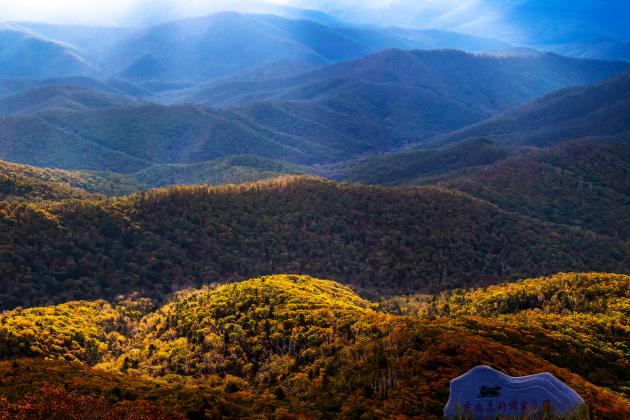 Cina: parco di tigri e leopardi, nati oltre 35 cuccioli nell'ultimo anno