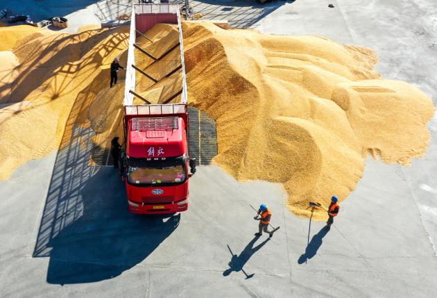 Cina: importazioni di cereali in aumento a gen-feb