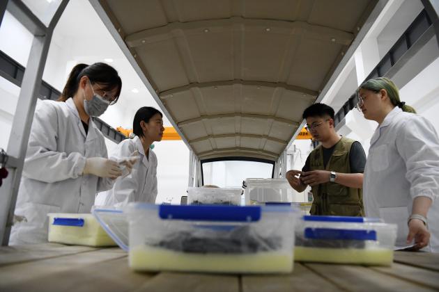 Cina: Anhui, progressi negli scavi della tomba di Wuwangdun (2)