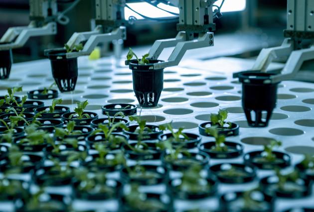 Regno Unito: studioso, settore tech globale "radicalmente trasformato da influenza cinese"