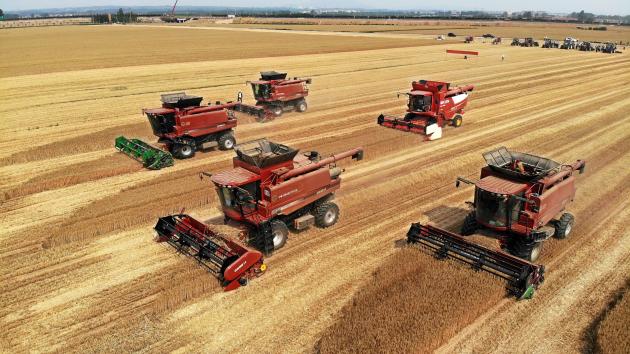 Cina: in corso raccolta del grano in seconda area di produzione