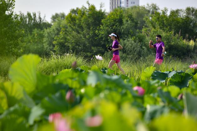 Cina: Shaanxi, Hanzhong promuove protezione ecologica (2)