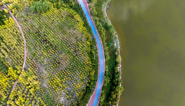Cina: presenta piano 2025-2030 per promuovere ambienti sani