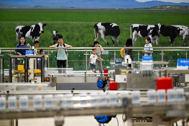 Cina: sviluppo di alta qualità dell'industria lattiero-casearia nella Mongolia Interna (1)
