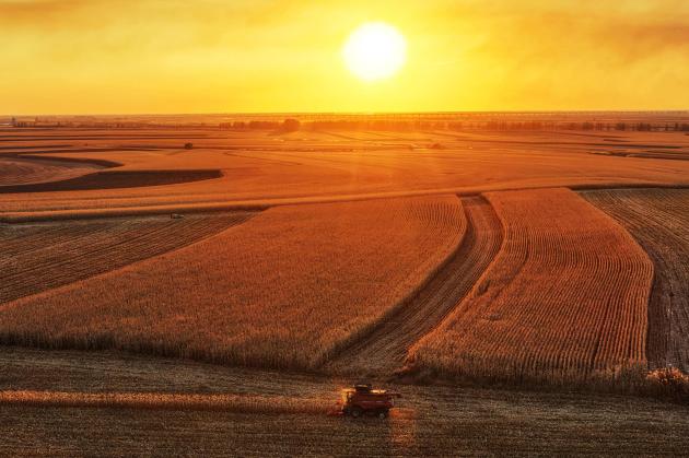 Cina: prosegue la raccolta autunnale di cereali nello Heilongjiang (1)