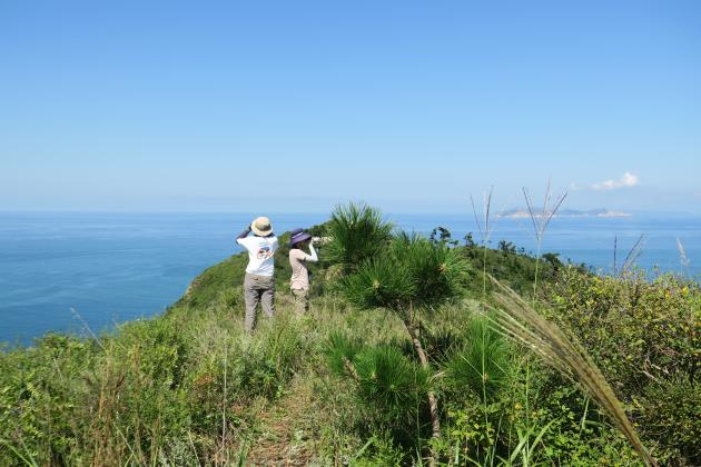Cina: appassionati di birdwatching conducono osservazioni a Yantai (1)