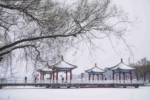 Cina: Changchun imbiancata dopo l'arrivo di un nuovo fronte freddo (1)