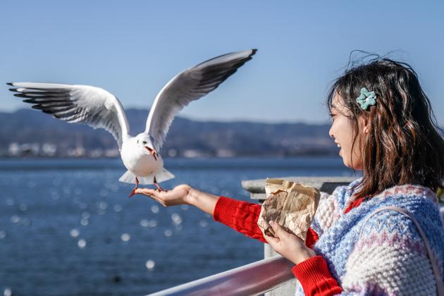 Cina: lago Dianchi, livello dell'acqua elevato per ottavo anno di fila (1)