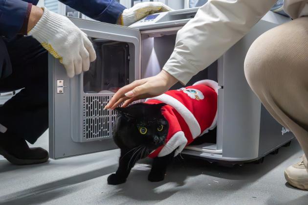 Cina: potenziato trasporto ferroviario di animali domestici in occasione della Festa di primavera