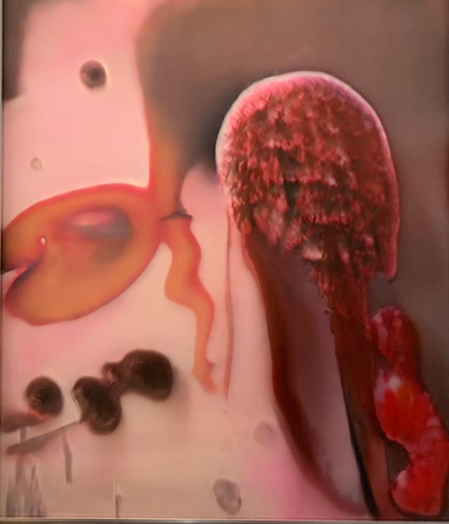 Collection Pinault Anicka Yi