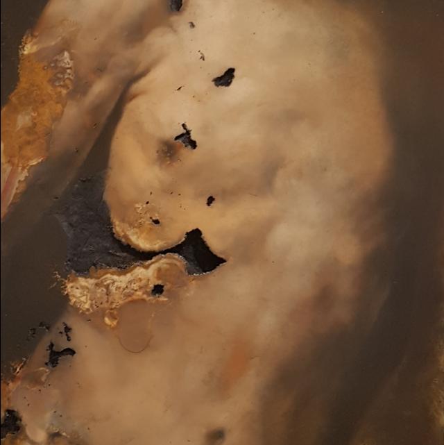 Samor&igrave;, Sfregi, dettagli