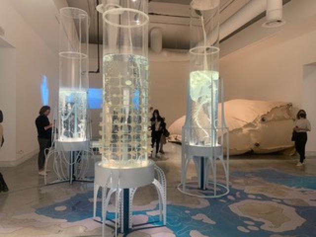 Hollow Ocean. Across Borders. Cambiamenti Marini