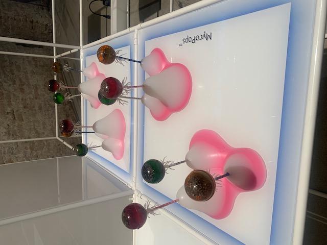 Myco Pops  Lecca Lecca macrobiotici 