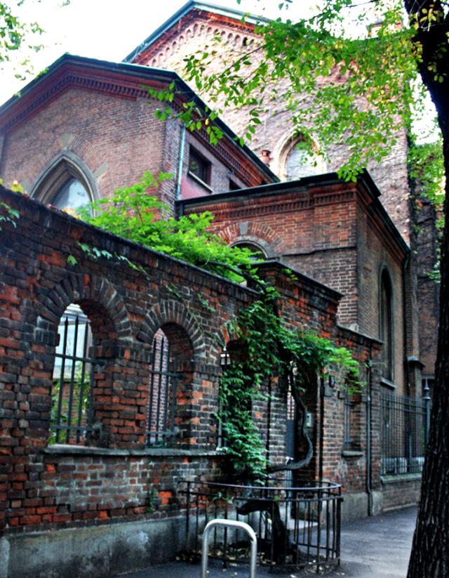 Glicine che forma la pergola sul retro della Chiesa