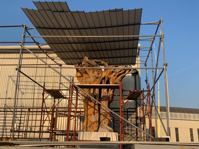 Pablo Atchugarry Vita della Materia a Palazzo Reale di Milano