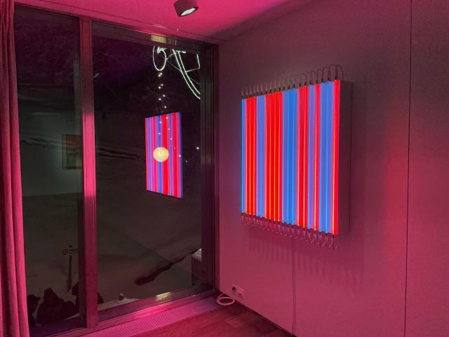 Maria Lassnig & Cindy Sherman Galleria Hauser & Wirth St. Moritz