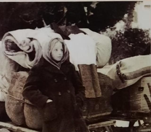 Sono scesi i lupi dai monti di Piero Tarticchio