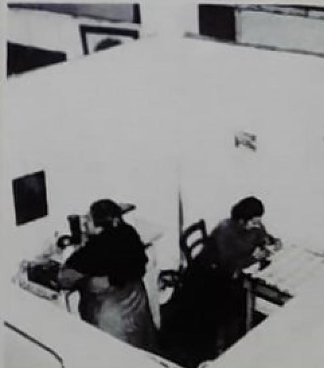 Sono scesi i lupi dai monti di Piero Tarticchio