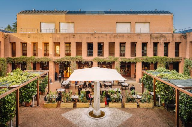 Umami Taste Experience