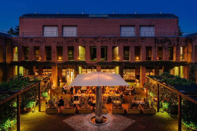 Umami Taste Experience