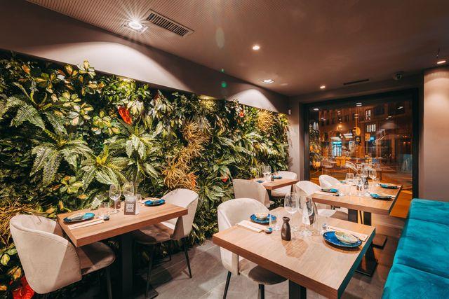 Umami Taste Experience