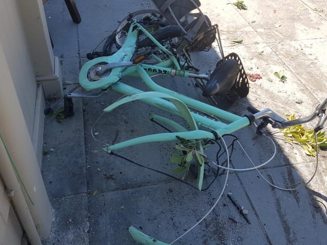 Forte dei Marmi, Bagno Piero sfondato da un'auto