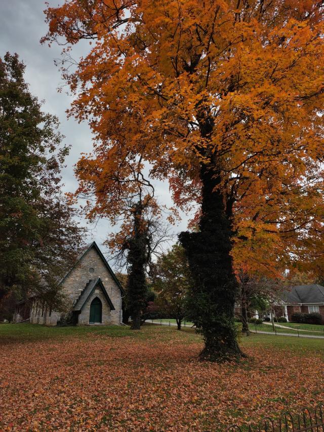 Honor Stefano Guindani