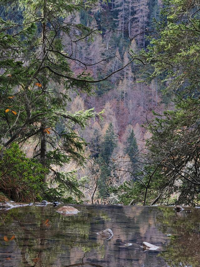 Honor Stefano Guindani