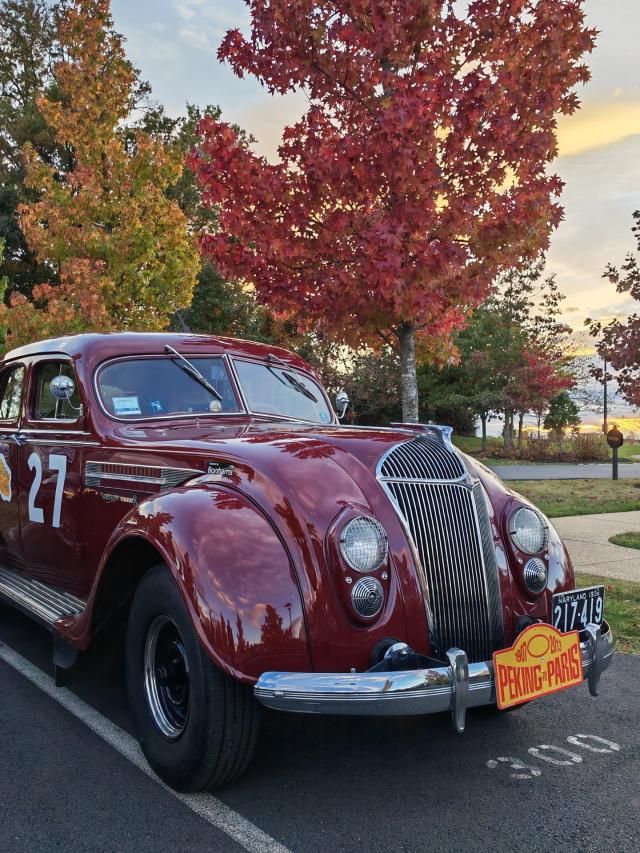 Honor Stefano Guindani